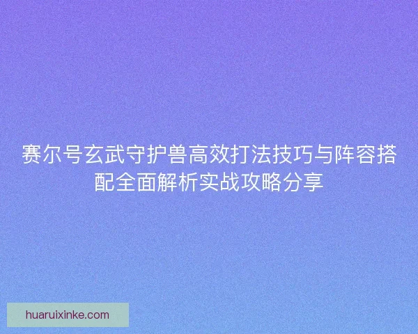 赛尔号玄武守护兽高效打法技巧与阵容搭配全面解析实战攻略分享
